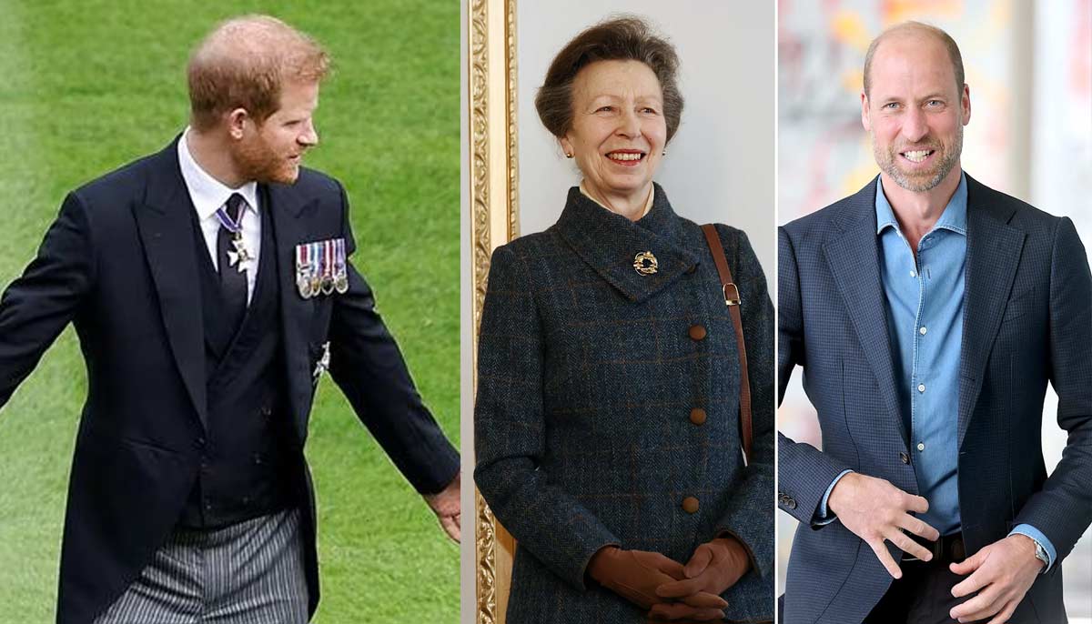 Britons give final verdict on Prince Harry, Williams reconciliation