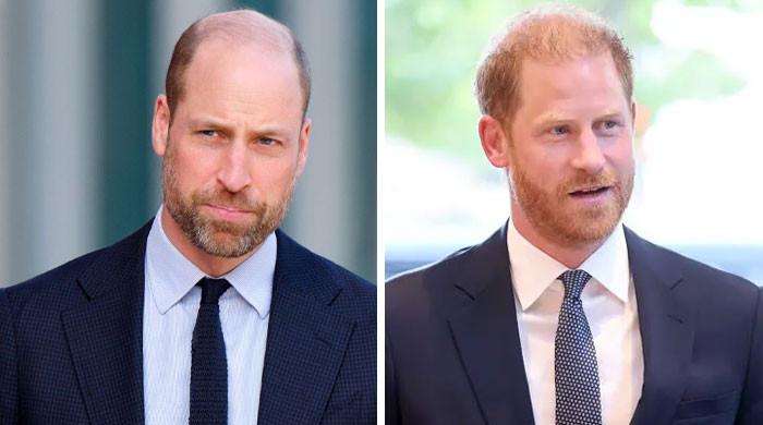 Princes William, Harry joint appearance looms as Diana charity issues update