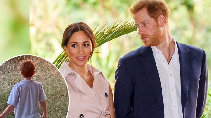 Prince Harry, Meghan forced to leave behind Archie's beloved project in US