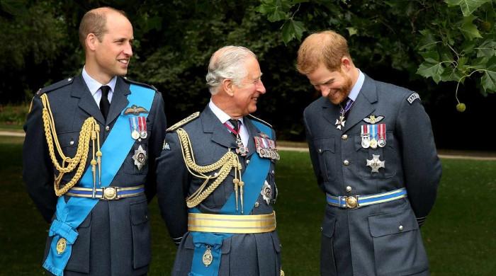 King Charles emotional message to William, Harry: 'Best opportunity' 