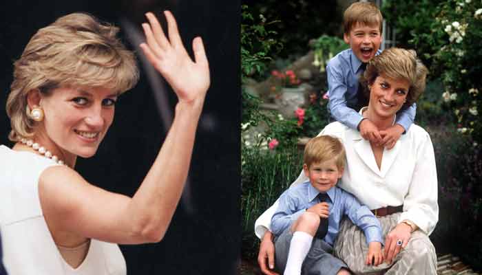 Prince William, Harry reminded of Princess Dianas important lesson