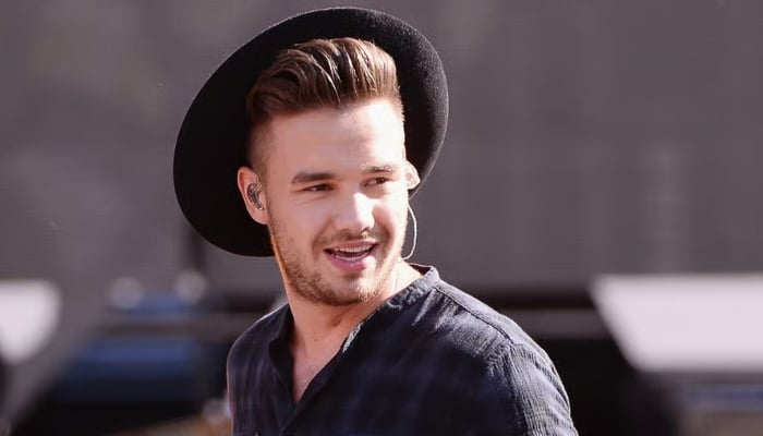 Liam was just 16 years old when he soared to fame on The X Factor as one fifth of One Direction