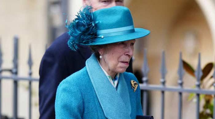 Princess Anne becomes Harry, Meghan's secret weapon for royal return