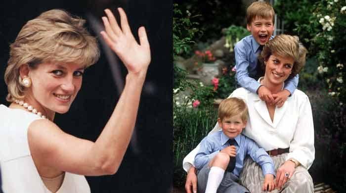 Prince William, Harry reminded of Princess Diana's important lesson
