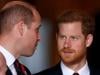 Prince Harry reunion with William: Fans finally receive good news