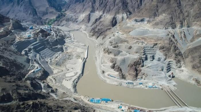 Govt dismisses report of scrapping Diamer-Bhasha Dam power component as ‘fake news'