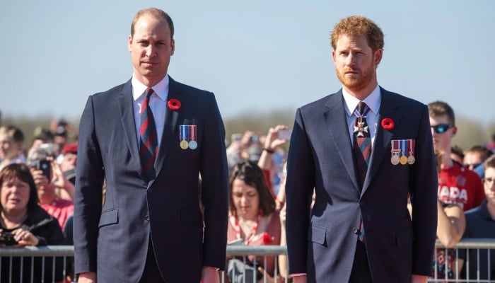 Prince William, Prince Harrys much-awaited reunion hits with sad update