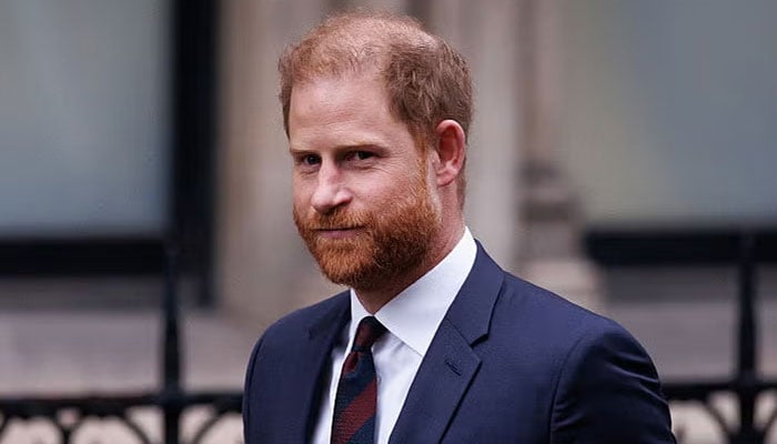 Prince Harry lawyers hit back after Ravec skips dangerous risk in security