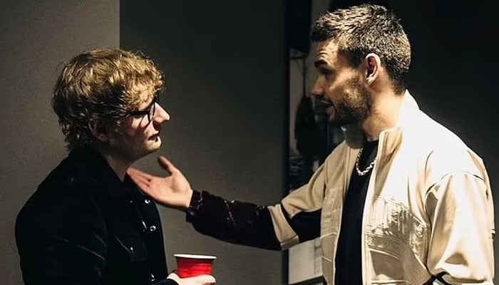 Ed Sheeran performs a One Direction hit on Liam Payne’s 33rd birthday