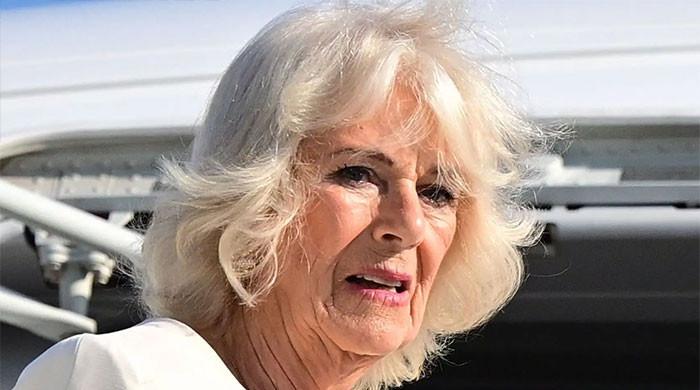 Queen Camilla could follow Dolly Parton's lead with extraordinary honour