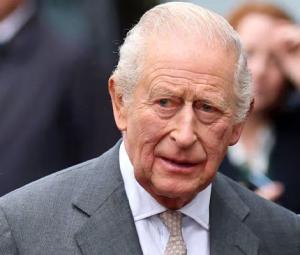 Buckingham Palace confirms King Charles private meeting after controversy