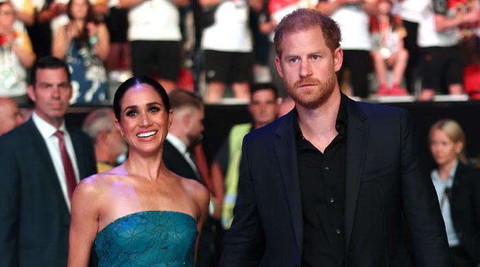 Prince Harry, Meghan Markle break silence on Diana Award appearance: ‘Facts'