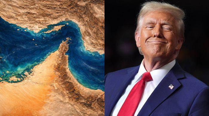 Trump suggests renaming Strait of Hormuz to ‘Trump Strait'