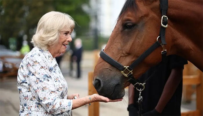 Queen Camilla meets royal pony now helping Brixtons children learn to ride