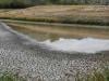 ‘World is in danger zone': El Nino likely to strengthen further, persist into 2027, says WMO 