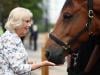 Queen Camilla meets royal pony now helping Brixton's children learn to ride