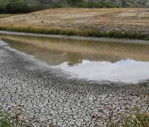 El Nino likely to strengthen further, persist into 2027, says WMO 