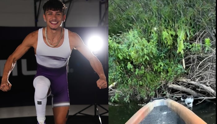 Fisherman rescues drowning kitten from river after hearing cries from riverside tree