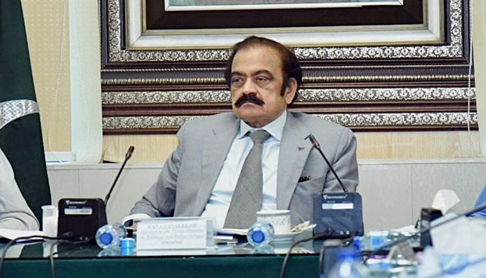 Prime Minister’s Adviser on Political Affairs Rana Sanaullah gestures during a meeting. — PID/File