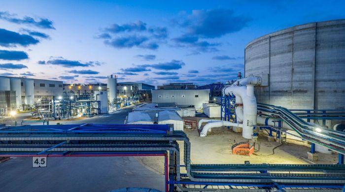 Microalgae bloom shuts down 5 out of Israel's 6 desalination plants: 'Alarming situation'