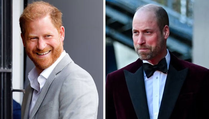 Princes Harry, William ‘are communicating’ as reunion hope reignite