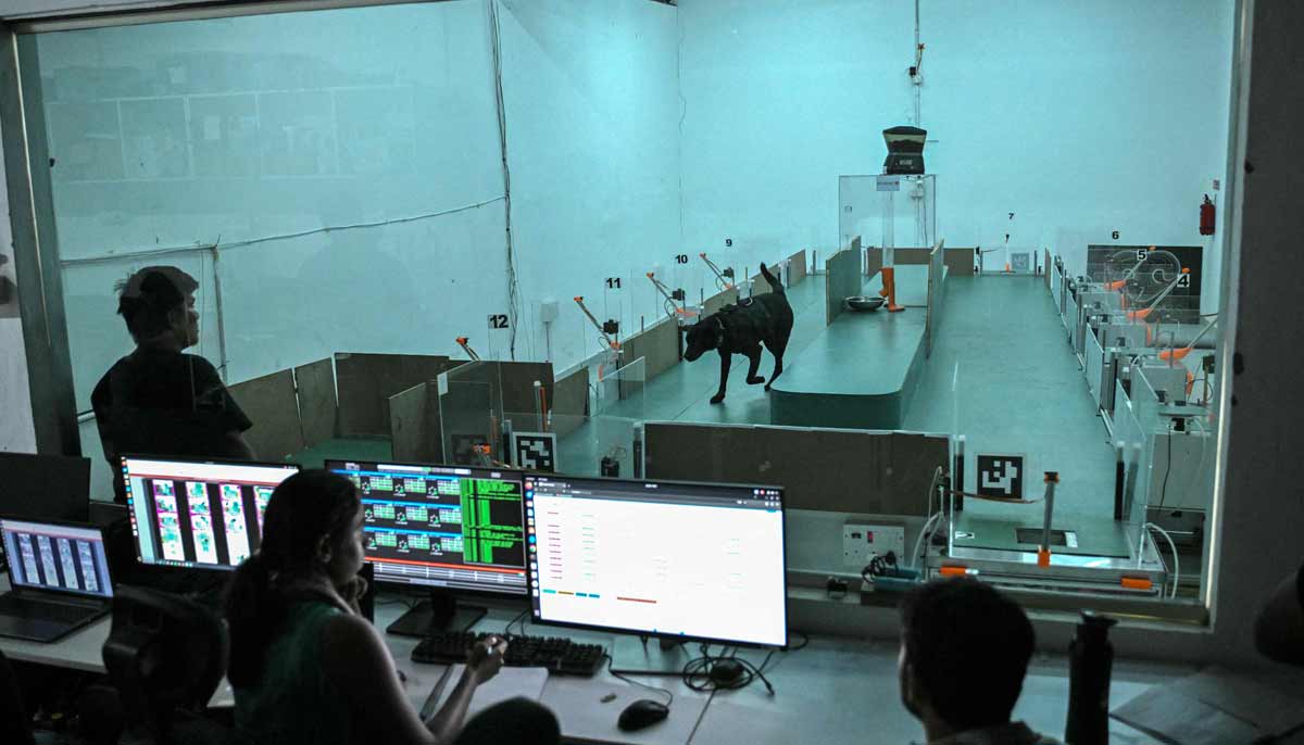 The employees are monitoring a cancer detection test inside a laboratory at the Dognosis facility in Kempohalli village on the outskirts of Bengaluru.— AFP