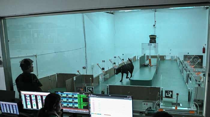 Can dogs sniff cancer? AI joins the hunt in India