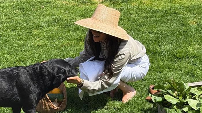 Meghan Markle releases carefree holiday photo after King reaffirms Sussexes' status