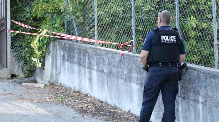 Thieves steal Renoir paintings from France museum