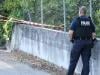 Thieves steal Renoir paintings from France museum