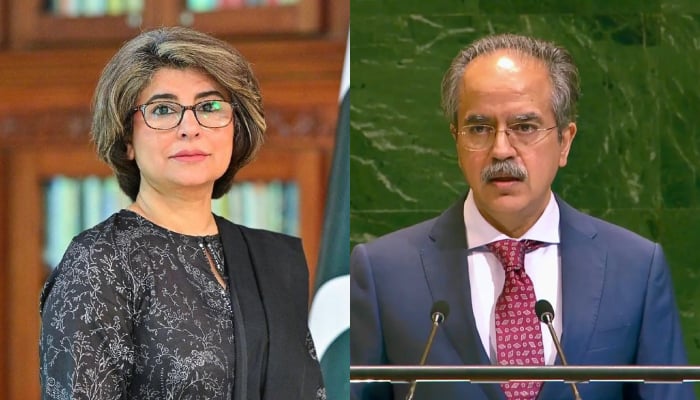 (From right) This collage of pictures shows Ambassador Asim Iftikhar Ahmad and Ambassador Amna Baloch. — APP/pakun.org/File