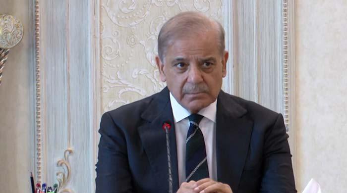 PM Shehbaz orders survey of properties for loans under 'Apna Ghar Scheme'