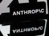 Anthropic researcher warns of more than 10% chance AI could kill all humans