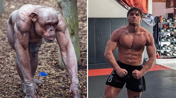 MMA fighter offered $500,000 to fight Chimpanzee: Scientists reveal who would win