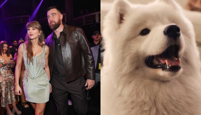 Wendy the Dog makes NYFW debut alongside Travis Kelce