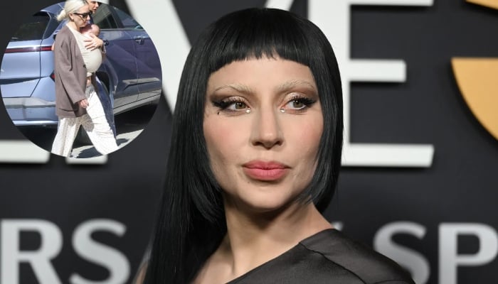 Lady Gaga’s secret baby plans left pals ‘completely blindsided’