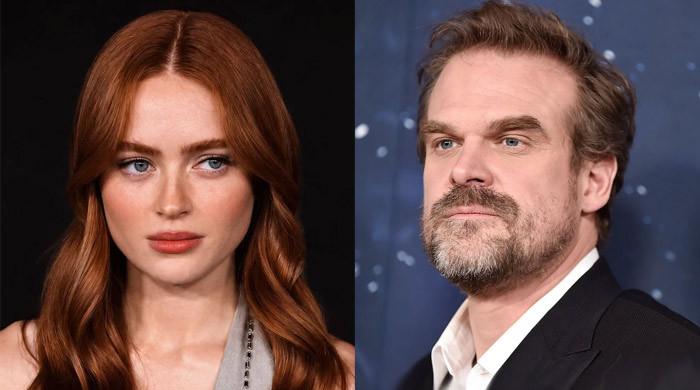 David Harbour has one problem with Sadie Sink's Marvel debut