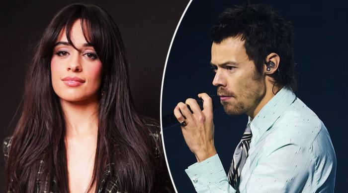 Camila Cabello watches her One Direction crush perform at MSG