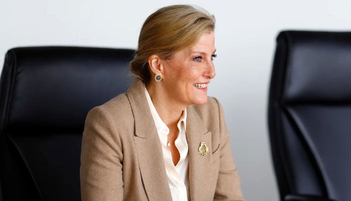 King Charles sends Sophie on meaningful mission as family row escalates