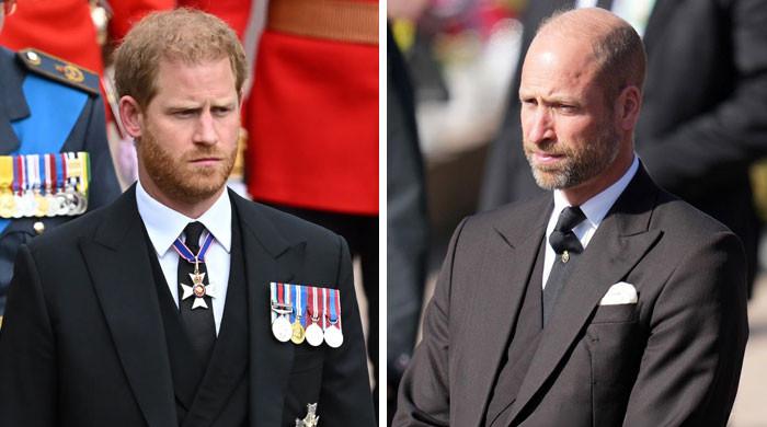 Prince Harry makes noble gesture for Prince William in surprise appearance