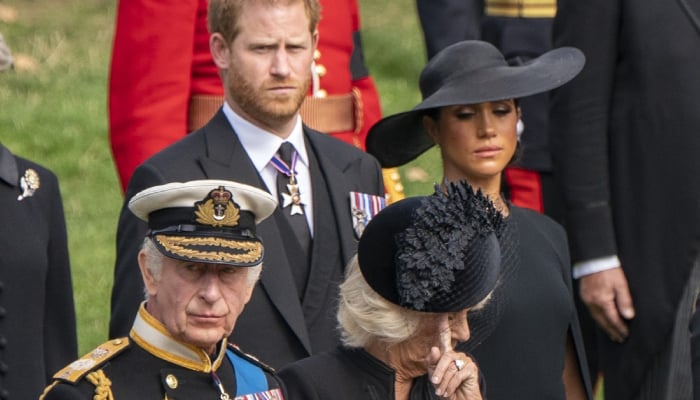Buckingham Palace issues statement amid Harry, Meghan security shock